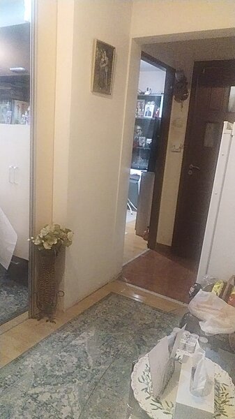 Dristor adiacent, Vitan,