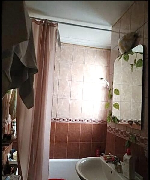 Dristor adiacent, Vitan,